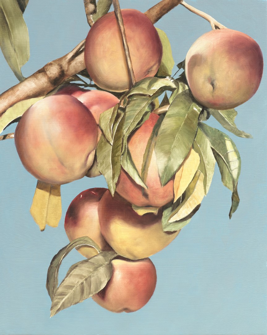 Hitchcock's Apples (2021), 50 x 40 cm, oil on panel (private collection)